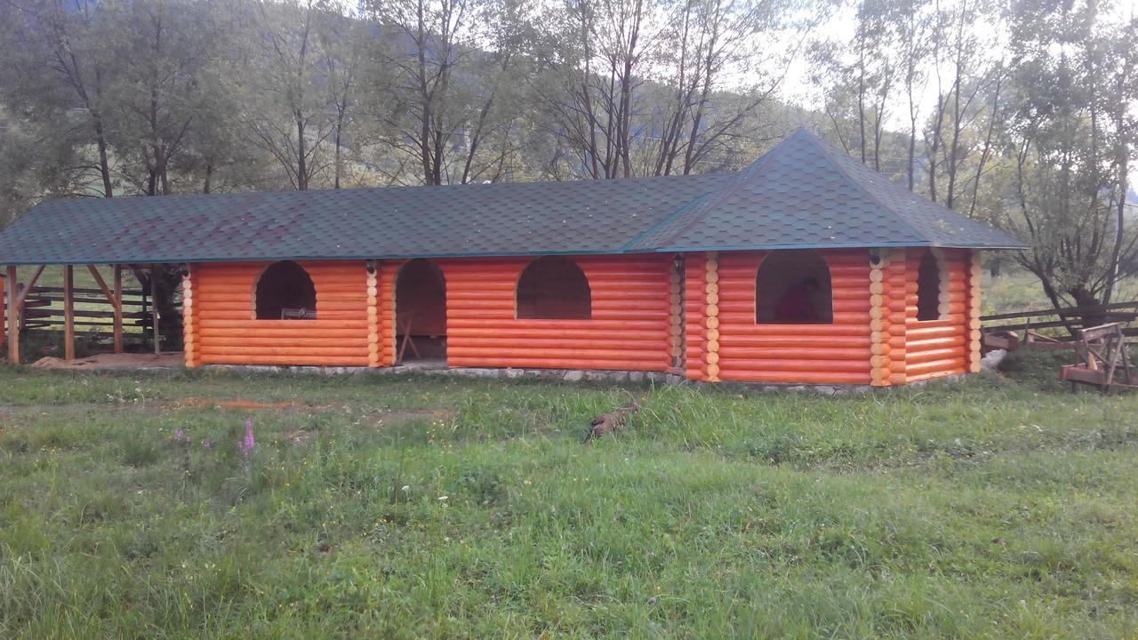 Плай Villa Verkhovyna Exterior photo
